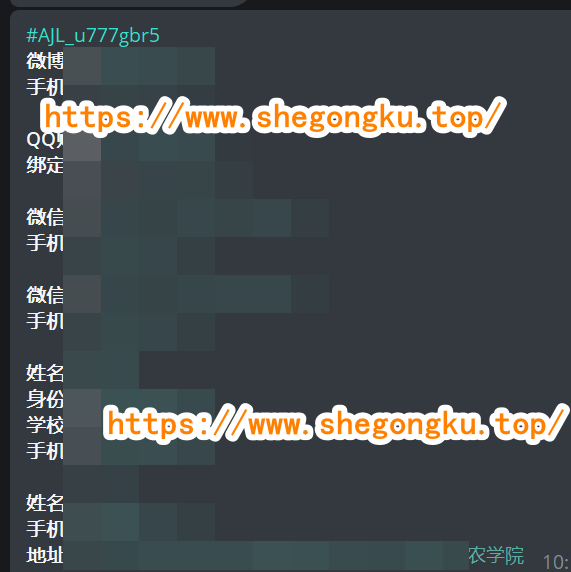 暗精灵社工库-社工库使用