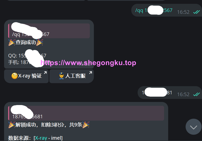 X-ray社工库-Telegram社工库-最新社工库-免费社工库-2024社工库